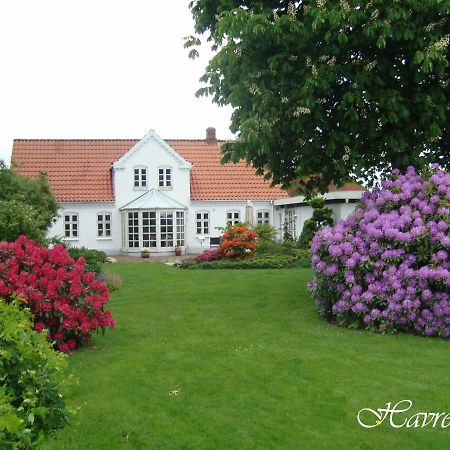 Havrevang Billund Exterior photo
