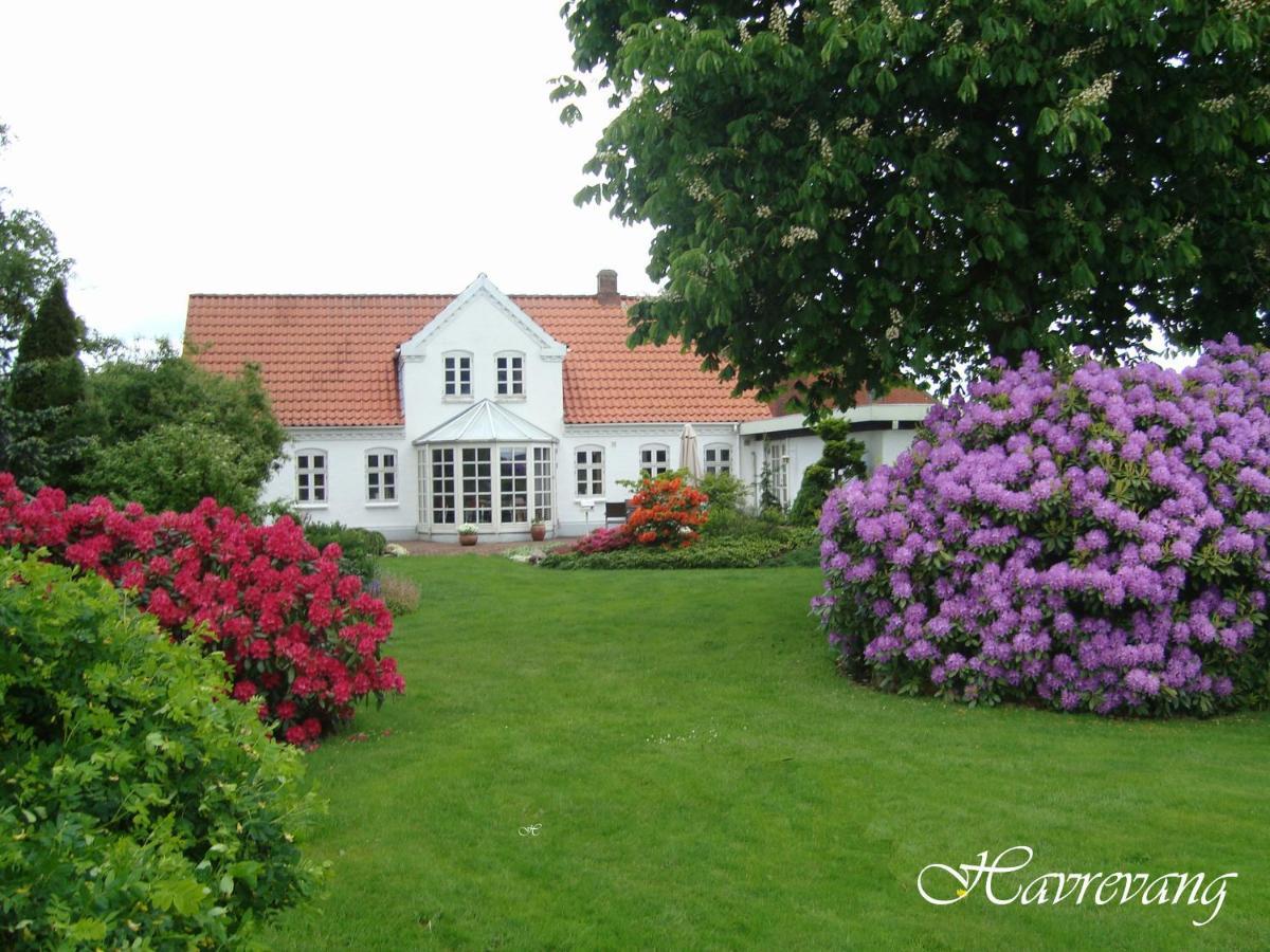 Havrevang Billund Exterior photo